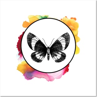 Color Splash Butterfly Posters and Art